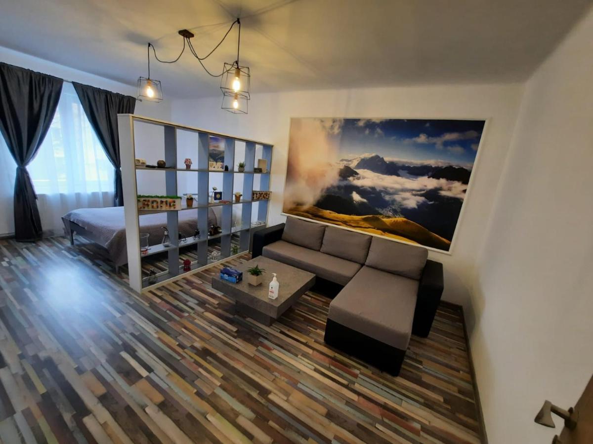 Croma Studio Petrosani Apartment ภายนอก รูปภาพ