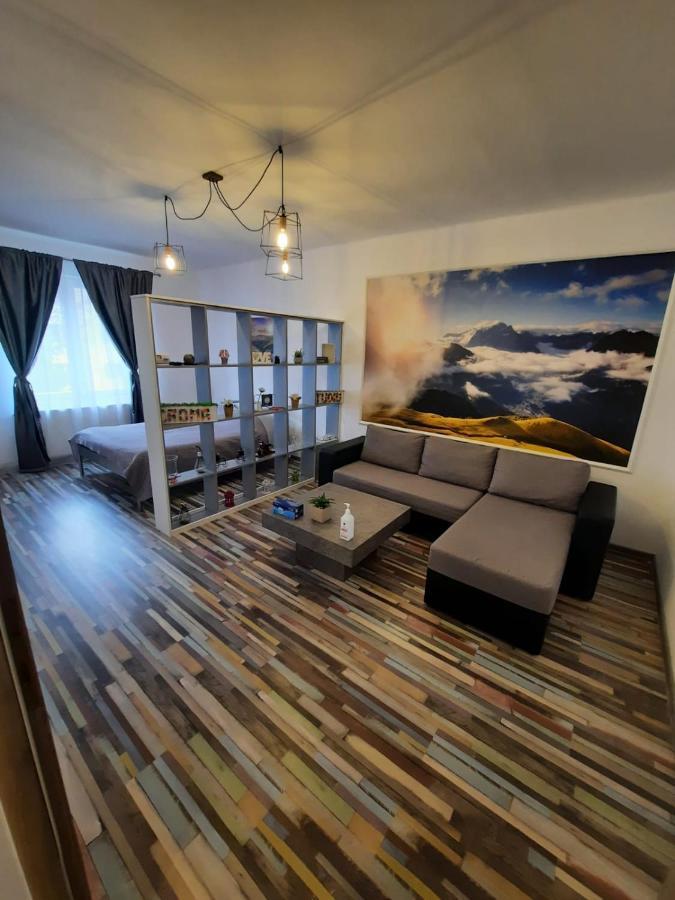 Croma Studio Petrosani Apartment ภายนอก รูปภาพ