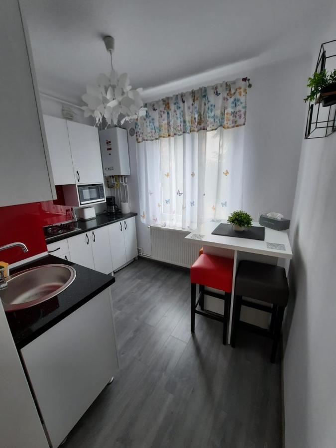 Croma Studio Petrosani Apartment ภายนอก รูปภาพ